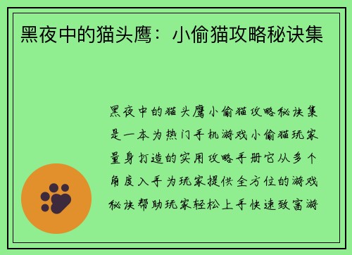 黑夜中的猫头鹰：小偷猫攻略秘诀集
